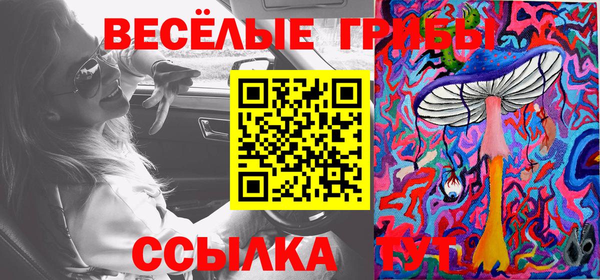 Новокубанск  Галлюциногенные грибы прущие грибы  Галлюциногенные грибы Psilocybe  цены   Вход с VPN 