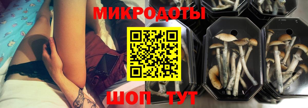 Кокаин  МЕФ кристаллы  ГАШИШ  Купить наркоту  Новокубанск  Вейп ТГК  Амфетамин кристаллы  Меф МЯУ МЯУ  Каннабис  Вход с VPN  Codein 